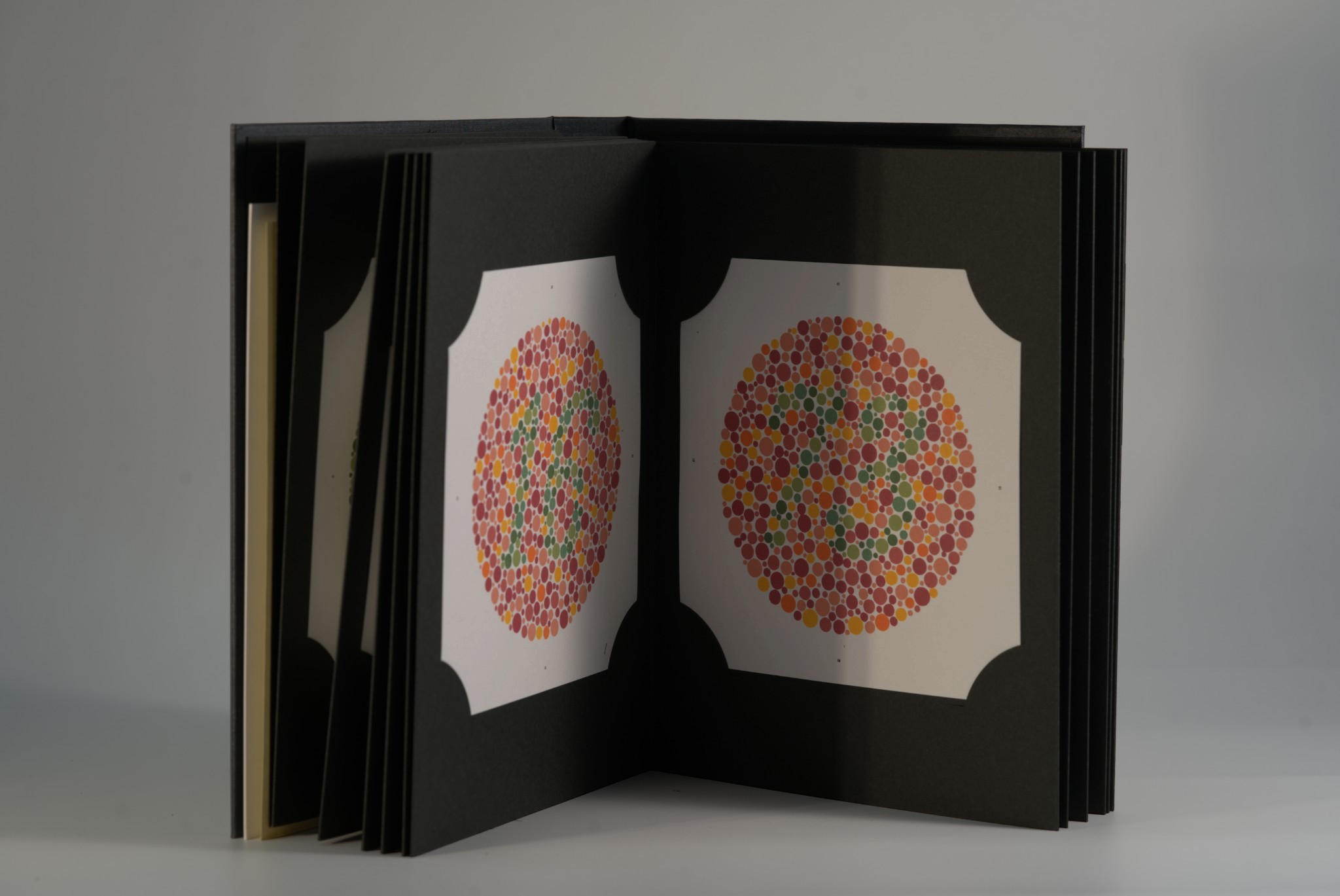 Colour Blindness Book